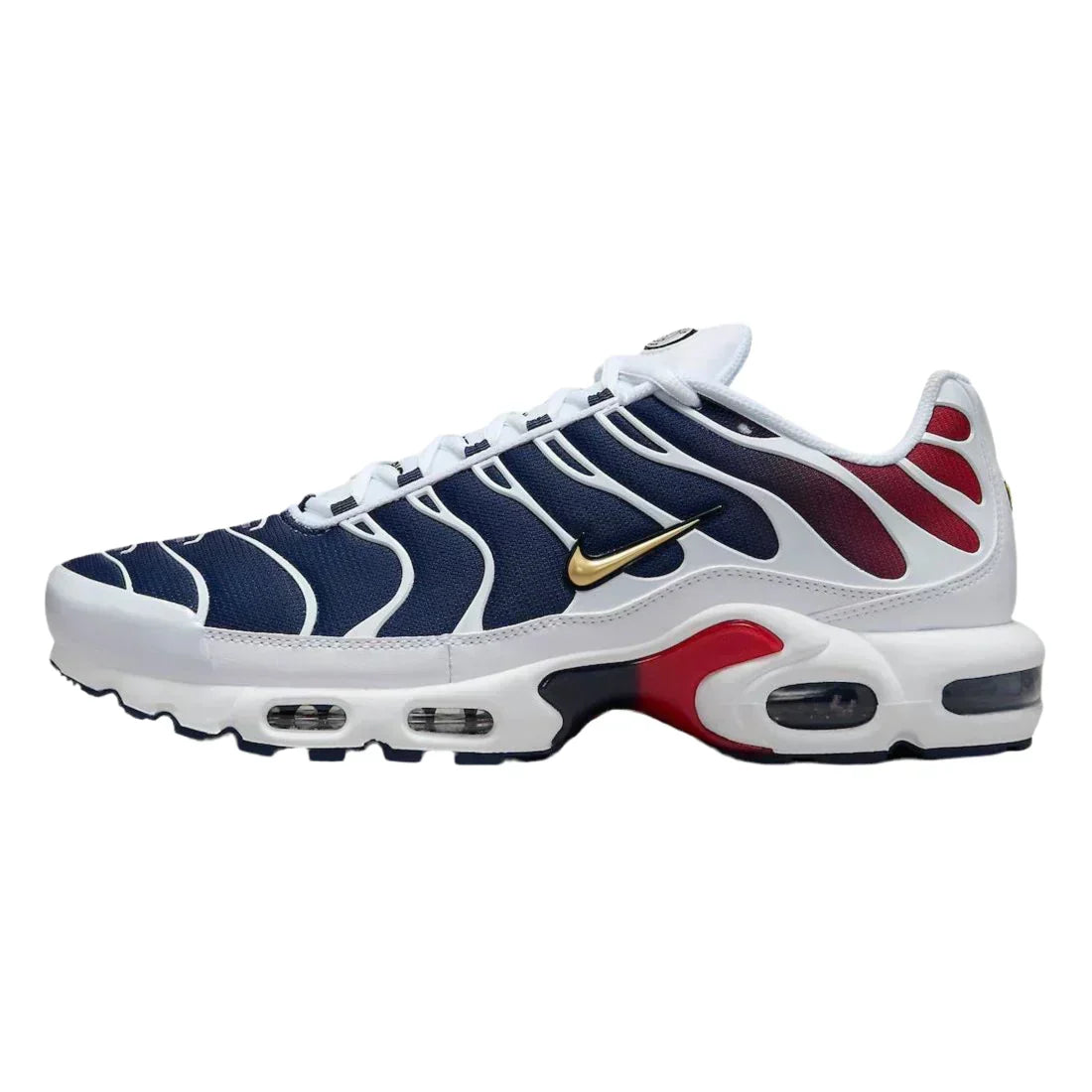 Nike Air Max Plus Men's Shoes